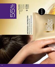 Catálogo L'bel Página 48