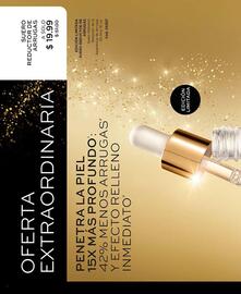 Catálogo L'bel Página 6