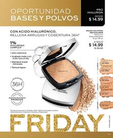 Catálogo L'bel Página 75