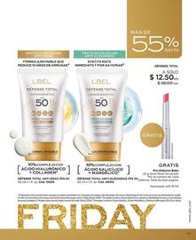 Catálogo L'bel Página 87