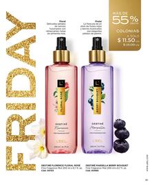 Catálogo L'bel Página 91