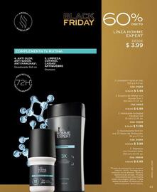 Catálogo L'bel Página 93