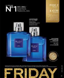 Catálogo L'bel Página 95