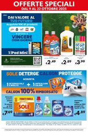 Volantino Maxi Supermercati Pagina 13