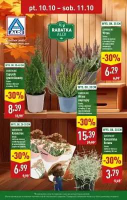 ALDI gazetka (ważność do 11-10)