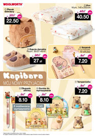 Woolworth gazetka Strona 17