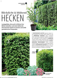 Dehner Flugblatt Seite 12