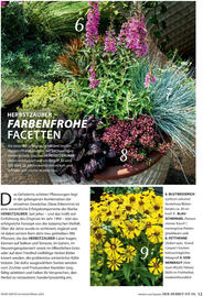 Dehner Flugblatt Seite 13