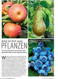 Dehner Flugblatt Seite 14