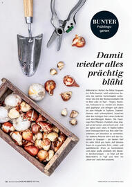 Dehner Flugblatt Seite 18