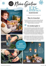 Dehner Flugblatt Seite 37