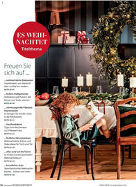 Dehner Flugblatt Seite 38