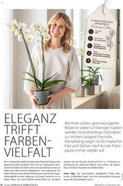 Dehner Flugblatt Seite 70