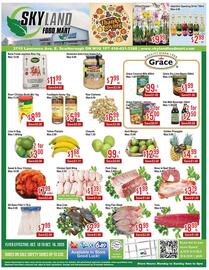 Skyland Foodmart flyer week 41 Page 1