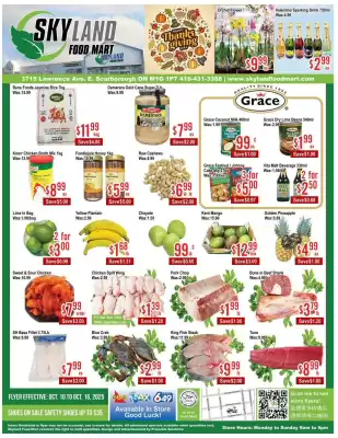 Skyland Foodmart flyer (valid until 17-10)
