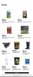 Tractor Supply Company weekly ad week 41 Page 4