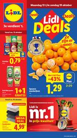 Lidl folder week 42 Pagina 1