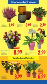 Lidl folder week 42 Pagina 29