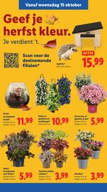 Lidl folder week 42 Pagina 30