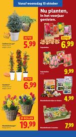 Lidl folder week 42 Pagina 31