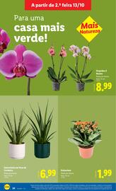 Folheto Lidl | Novidades Página 24