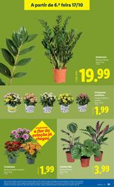 Folheto Lidl | Novidades Página 25