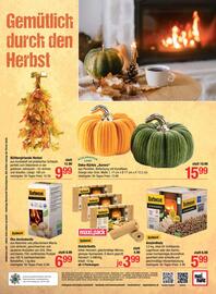 Maximarkt Flugblatt woche 42 Seite 28