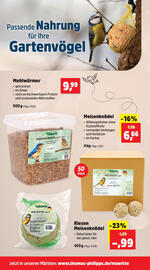 Thomas Philipps Prospekt woche 42 Seite 7