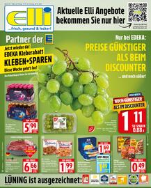 Elli Markt Prospekt woche 42 Seite 1