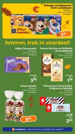 Trekpleister folder Pagina 43