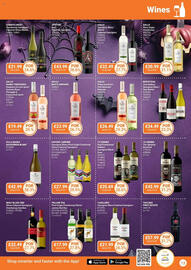Bestway leaflet Page 13