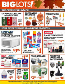 Big Lots weekly ad week 41 Page 3