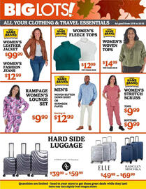 Big Lots weekly ad week 41 Page 4