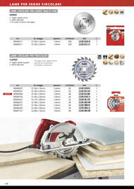 Volantino Einhell Pagina 110