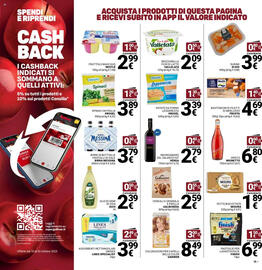 Volantino Supermercati Gulliver Pagina 13