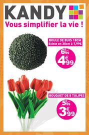 Catalogue Kandy page 2