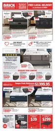 The Brick flyer Page 14