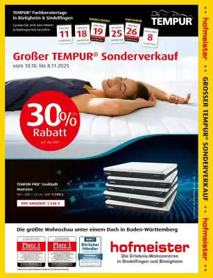Hofmeister Prospekt (gültig bis 8-11)
