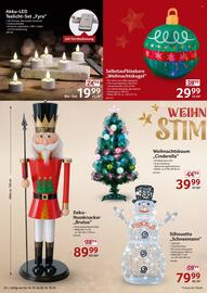 Selgros Prospekt woche 42 Seite 22