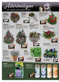 V Baumarkt Prospekt woche 42 Seite 2