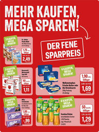 Feneberg Prospekt Seite 10