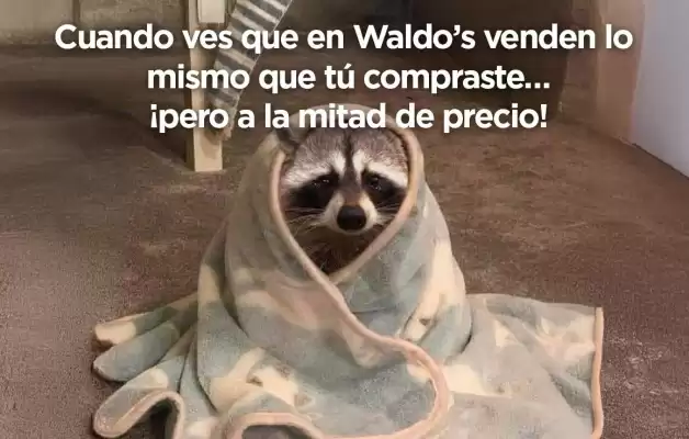 Catálogo Waldos (válido hasta 13-10)