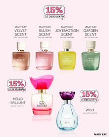 Catálogo Mary Kay semana 41 Página 2