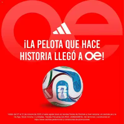 Catálogo Oechsle (válido hasta 31-10)