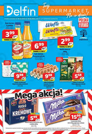 Delfin gazetka Strona 1