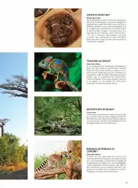 Volantino Alpitour Pagina 47