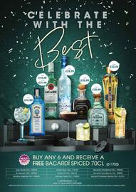 Bestway leaflet Page 4
