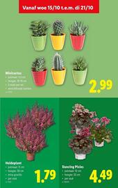 Lidl folder week 42 Pagina 34