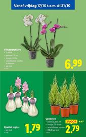 Lidl folder week 42 Pagina 54