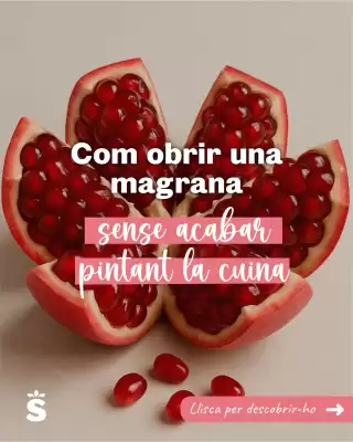Catálogo Sorli (válido hasta el 16-10)